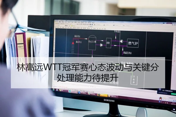 林高远WTT冠军赛心态波动与关键分处理能力待提升
