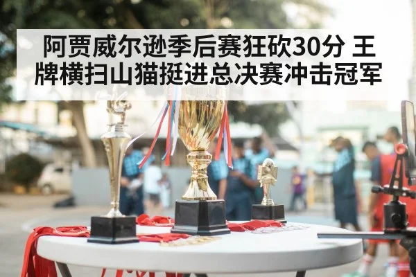 阿贾威尔逊季后赛狂砍30分 王牌横扫山猫挺进总决赛冲击冠军